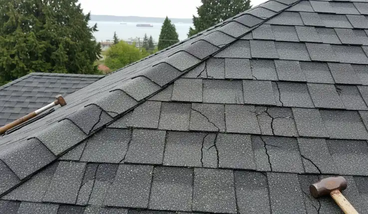 Repair vs. Replace: What Are the Warning Signs You Need a Full Roof Replacement?