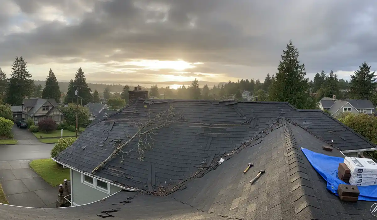 A Windstorm Just Damaged My Roof in Tacoma — What Should I Do First?