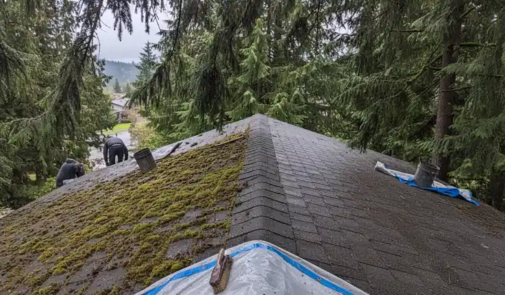 Roof Moss & Algae Removal in progress on a property in Tacoma, WA